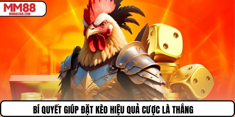 Bí quyết giúp đặt kèo hiệu quả cược là thắng