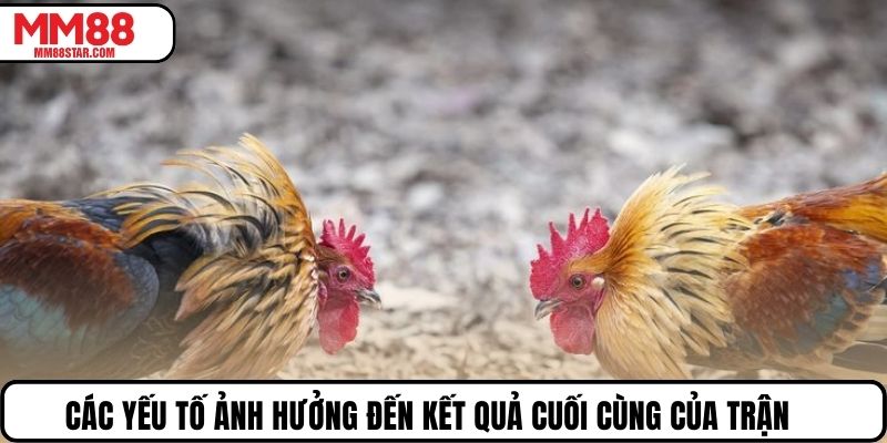 Các yếu tố ảnh hưởng đến kết quả cuối cùng của trận