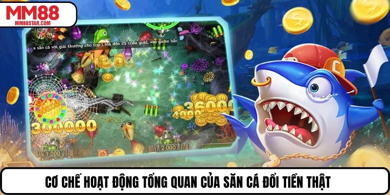 Cơ chế hoạt động tổng quan của săn cá đổi tiền thật