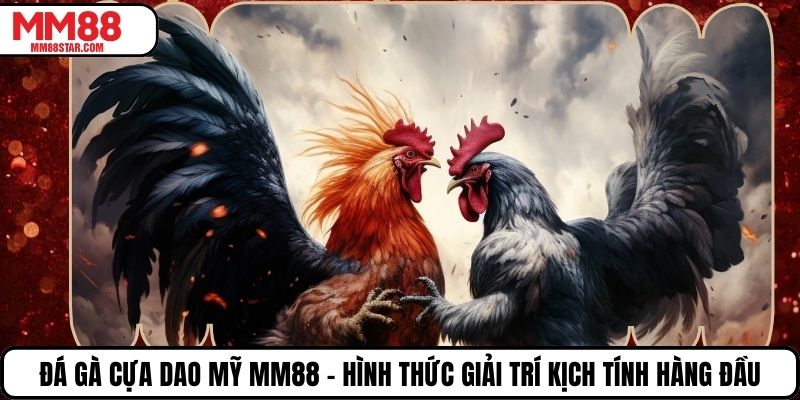 Đá Gà Cựa Dao Mỹ MM88 – Hình Thức Giải Trí Kịch Tính Hàng Đầu