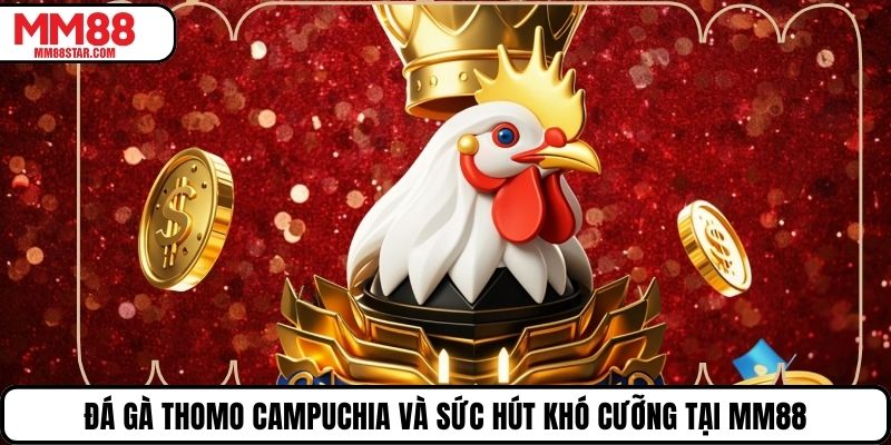 Đá Gà Thomo Campuchia Và Sức Hút Khó Cưỡng Tại MM88