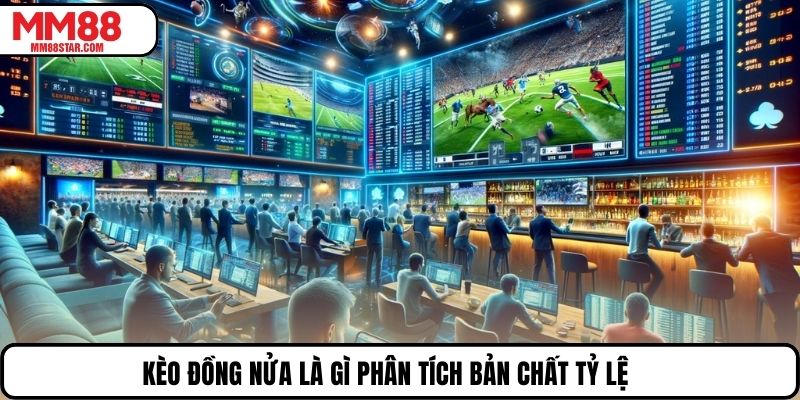 Kèo đồng nửa là gì phân tích bản chất tỷ lệ