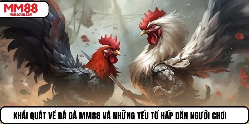 Khái quát về đá gà MM88 và những yếu tố hấp dẫn người chơi
