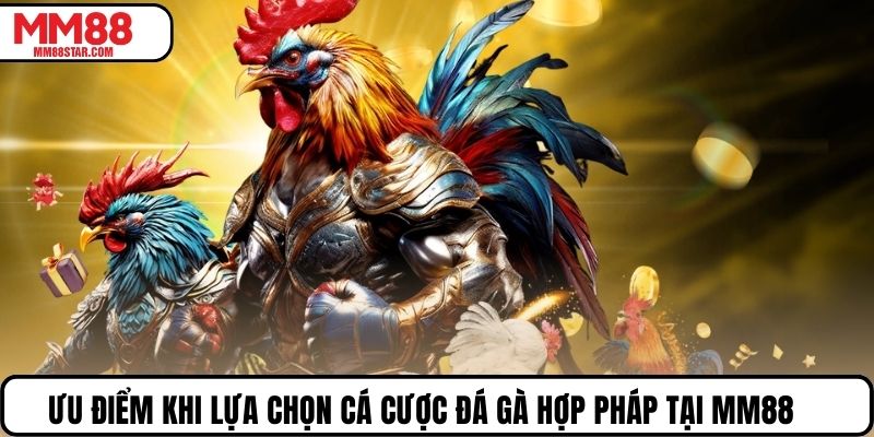 Ưu điểm khi lựa chọn cá cược đá gà hợp pháp tại MM88